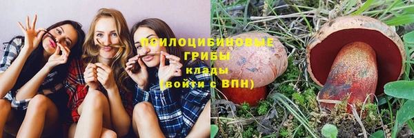 скорость Богданович
