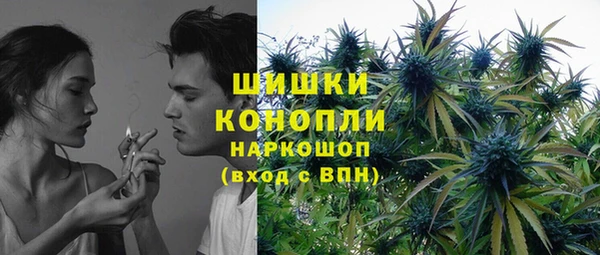 твердый Богородицк