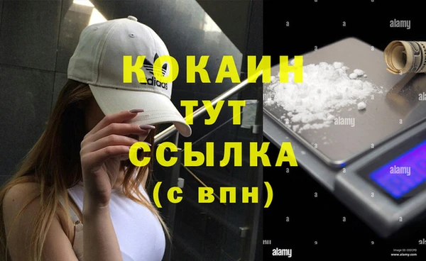 мдпв Бронницы