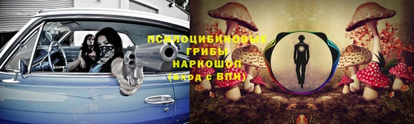 сатива Бугульма