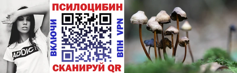 Псилоцибиновые грибы мицелий  Купить  Гаврилов-Ям 