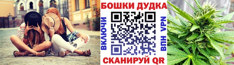 Марихуана план  Купить где  Гаврилов-Ям 